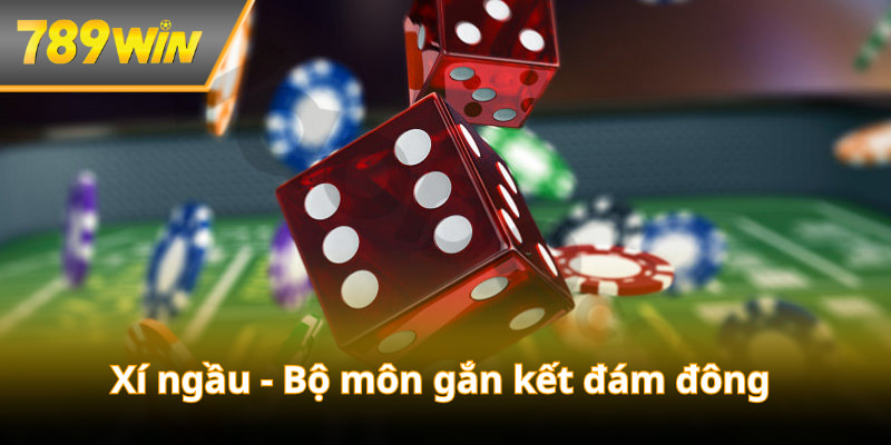 Xí ngầu luôn hấp dẫn bởi cách chơi riêng biệt