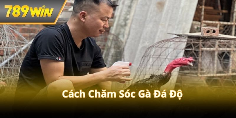 anh-dai-dien-cach-cham-soc-ga-da-do