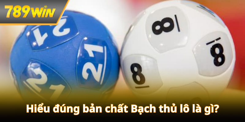 Bạch thủ lô là gì? – Hiểu đúng bản chất bảng chốt số