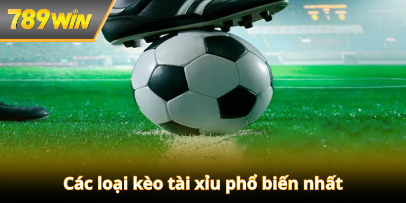 Các loại kèo tài xỉu phổ biến nhất