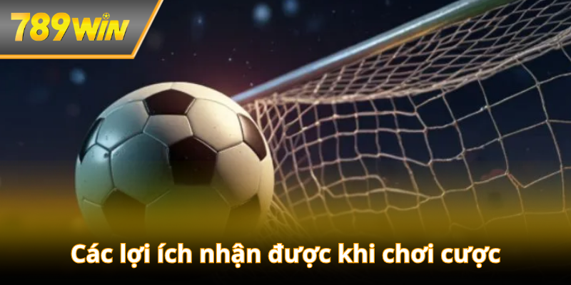 Các lợi ích nhận được khi chơi cược