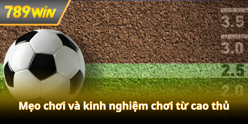 Mẹo chơi và kinh nghiệm chơi từ cao thủ
