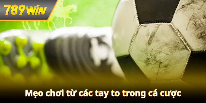 Mẹo chơi từ các tay to trong cá cược