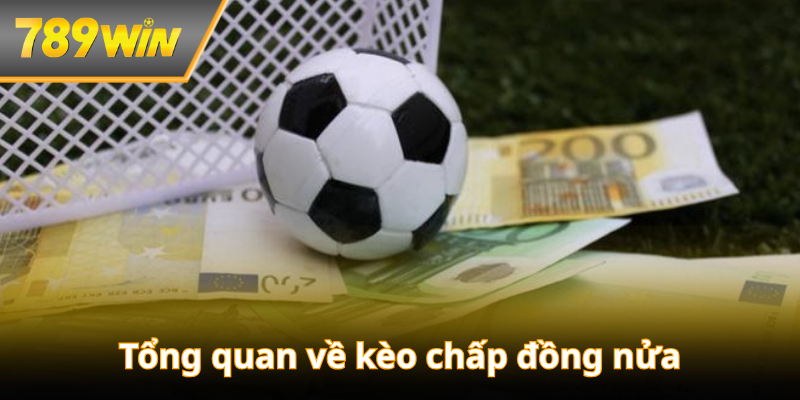 Tổng quan dễ hiểu về loại kèo chấp đồng nửa